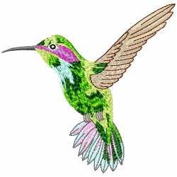 Hummingbirds Embroidery Design 2 Hummingbirds Embroidery Design 2